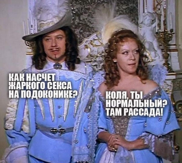 15330027.jpg