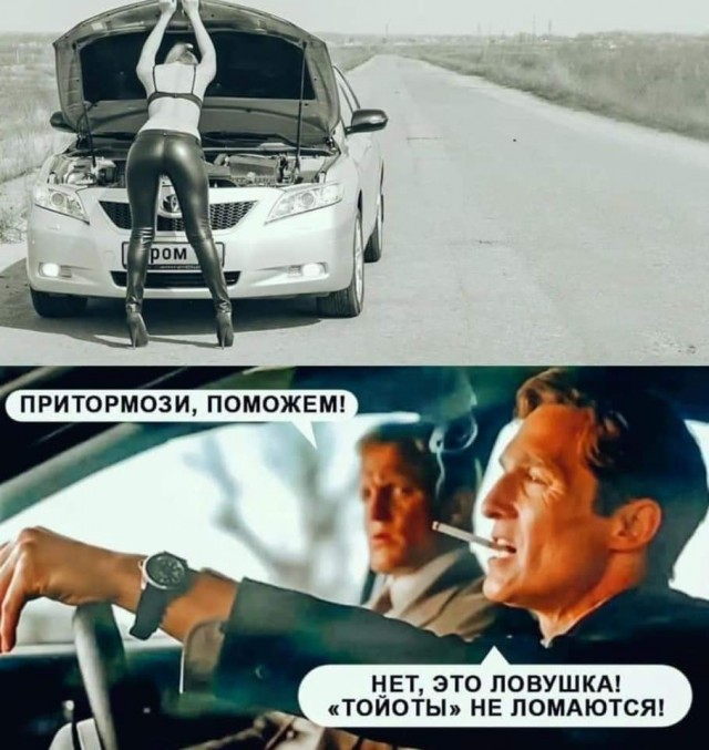 15969599.jpg