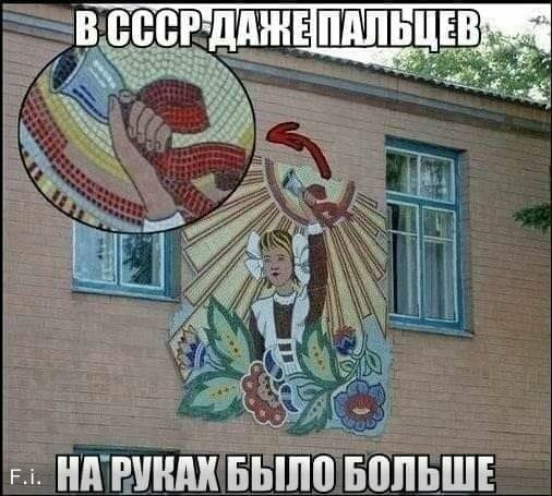 13513643.jpg