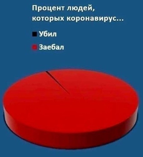 15750117.jpg