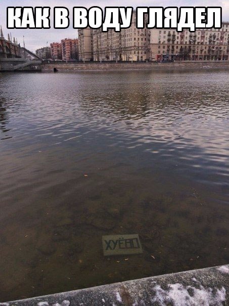 5983151.jpg