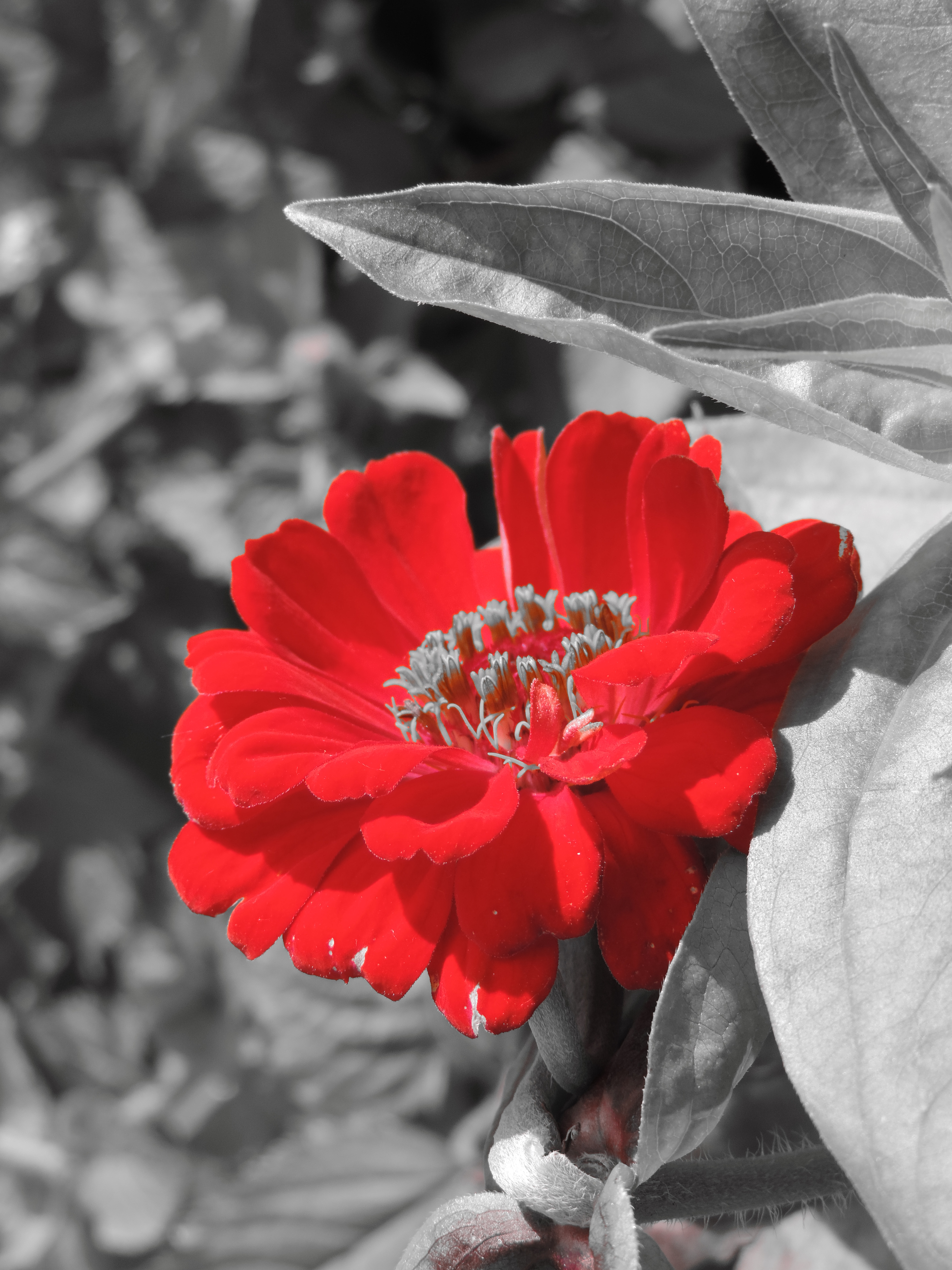 0_bb646_30bb38d8_orig