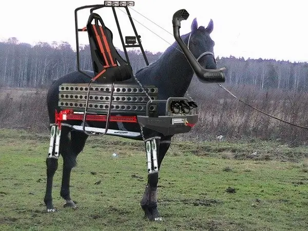 48573.jpg