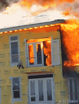 tumblr_n319mlolbG1s2yegdo1_400.gif