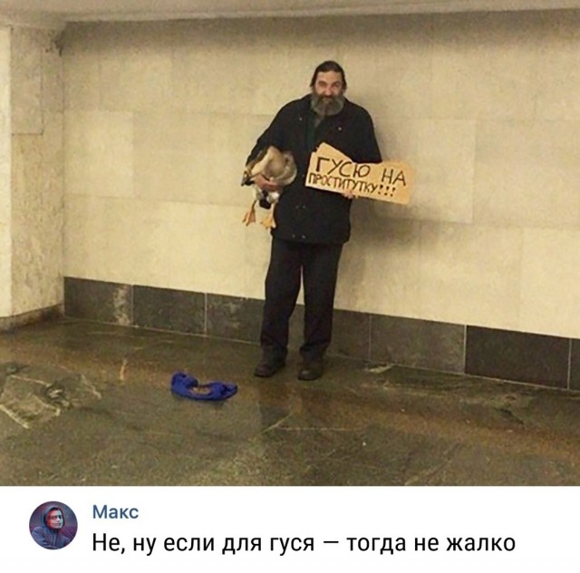16249271.jpg