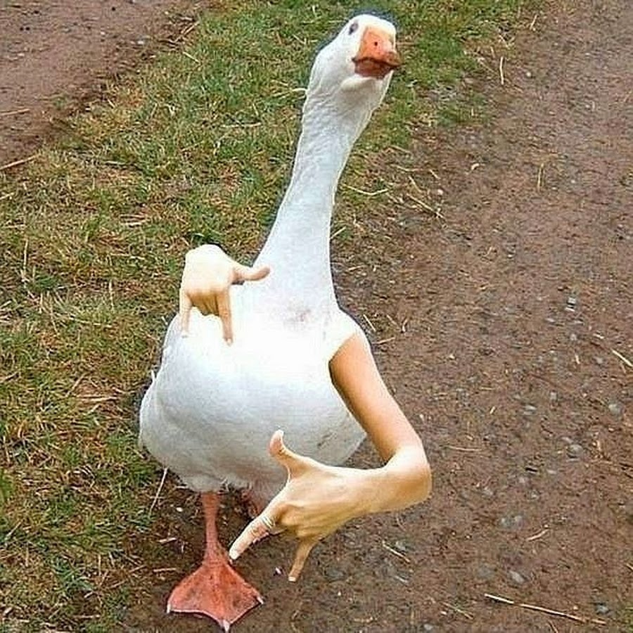 photo.jpg