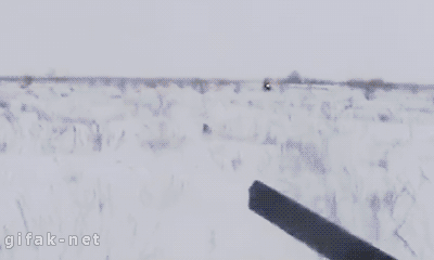 tumblr_n3lx0k1VeN1s2yegdo1_400.gif