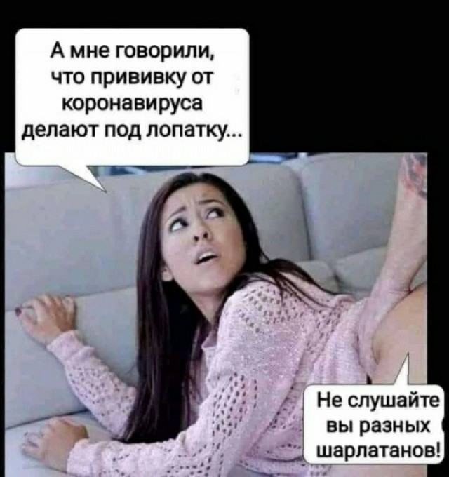 15323914.jpg