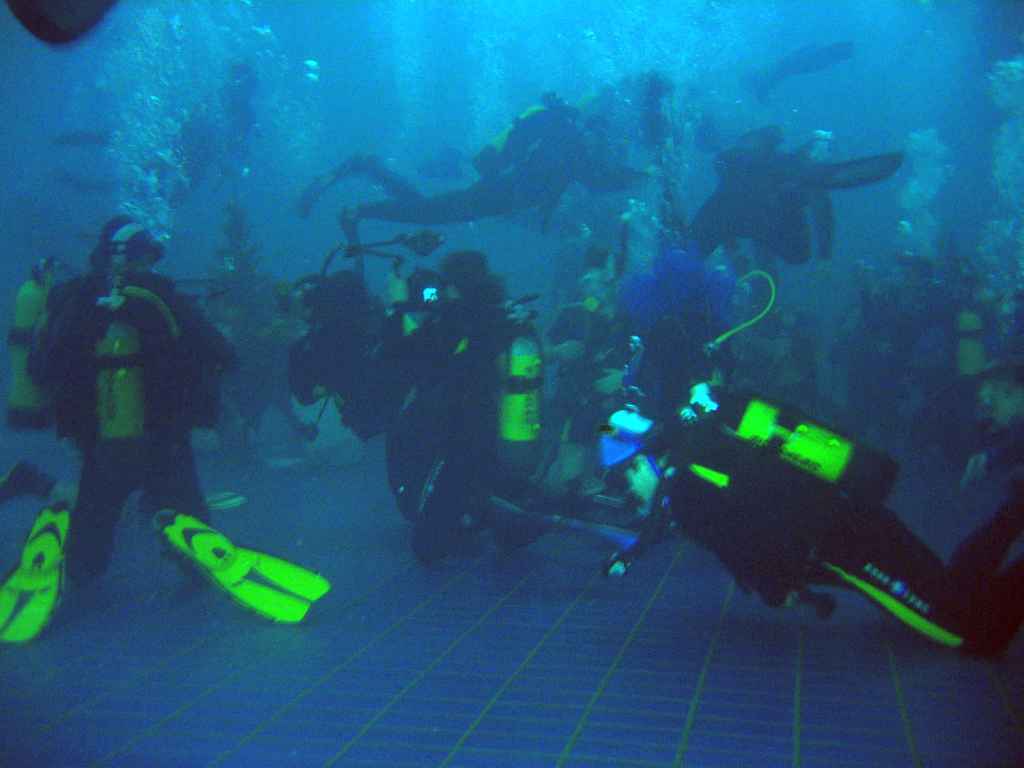 s-1171.JPG