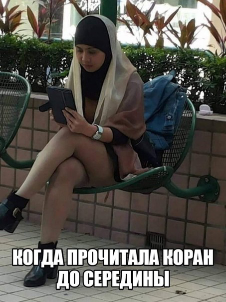 13109437.jpg