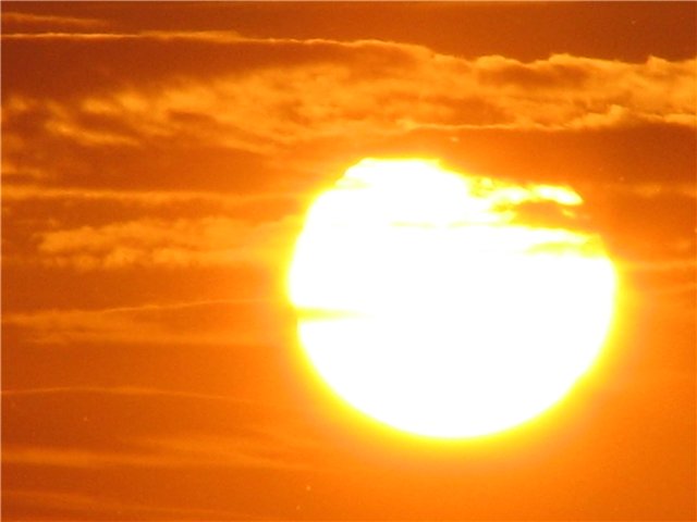 50119913_3b3cf2d575d8.jpg