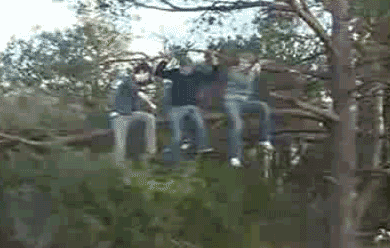 developers_at_work.gif