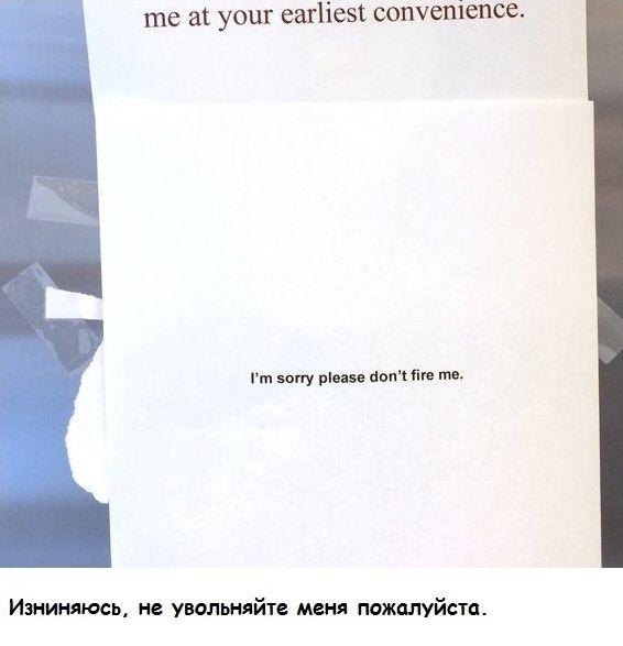 6074602.jpg