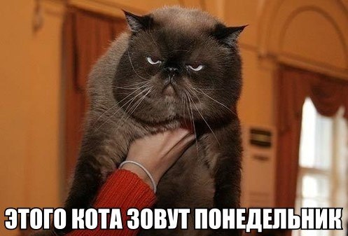 89383_original.jpg