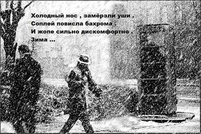1481522510_21.jpg