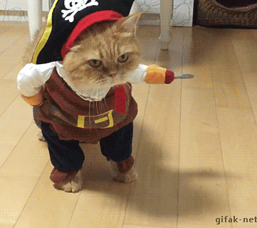 tumblr_nwatvsp7ZC1s2yegdo1_400.gif