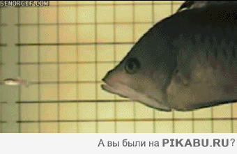 3e9fe9.gif