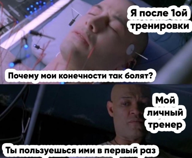 15374668.jpg