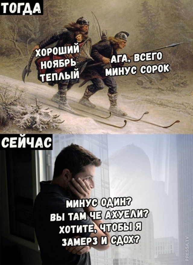 16127736.jpg