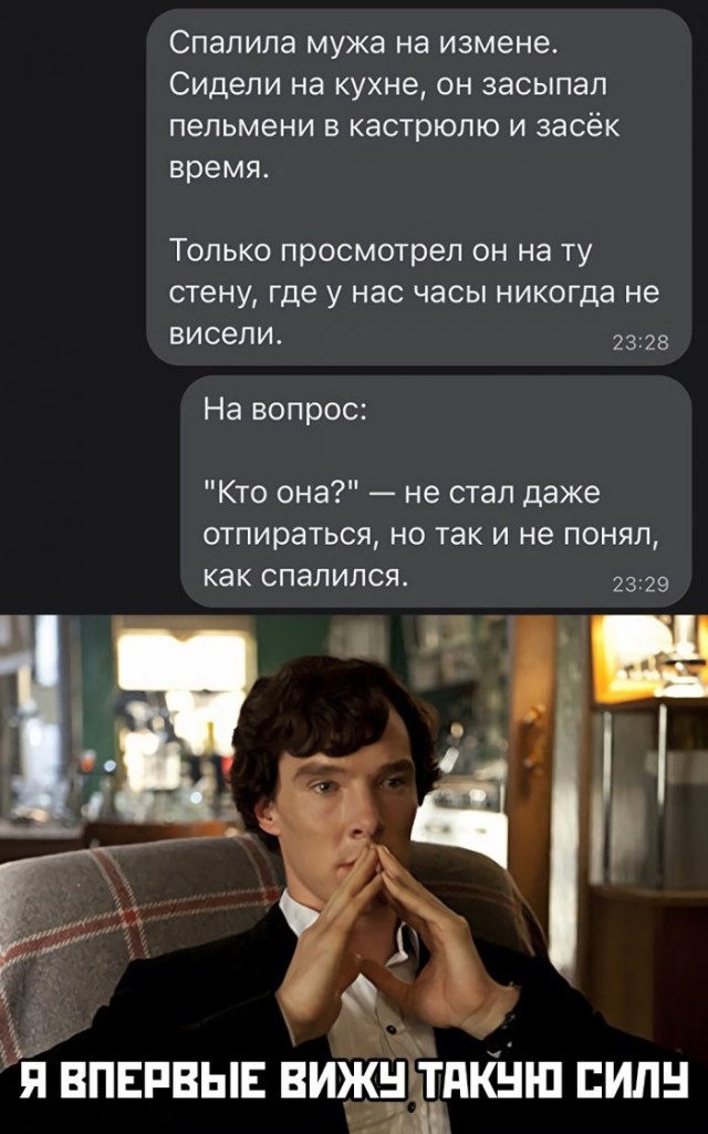 15605706.jpg