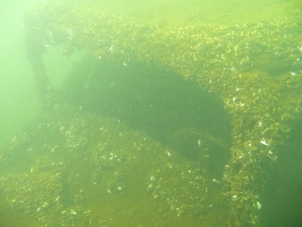 i-1674.jpg