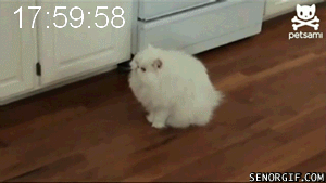 9q50d.gif