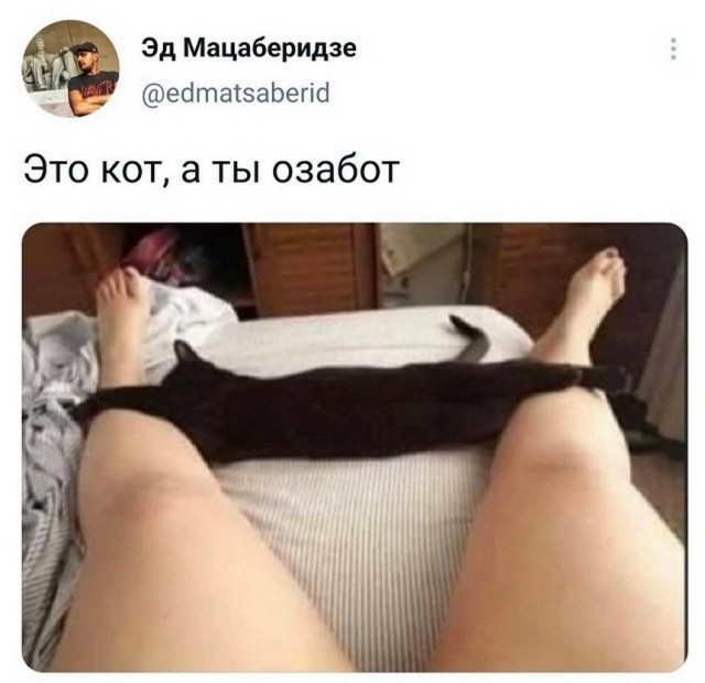 15319260.jpg