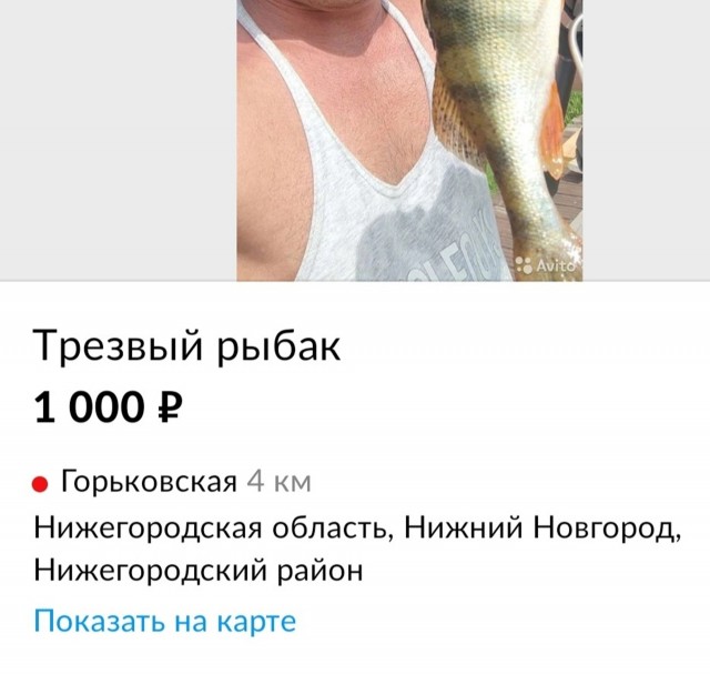 15734181.jpg