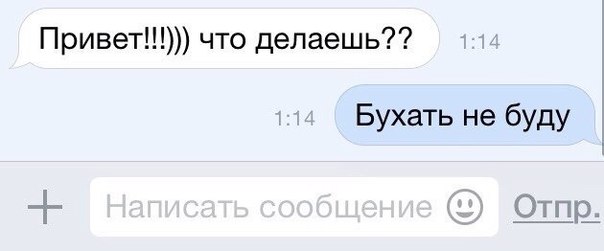5610754.jpg