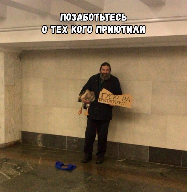 12992140.jpg