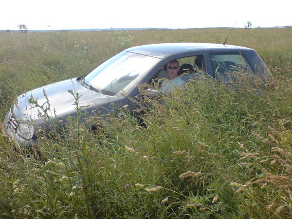 i-271.jpg