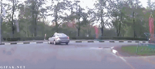 5.gif