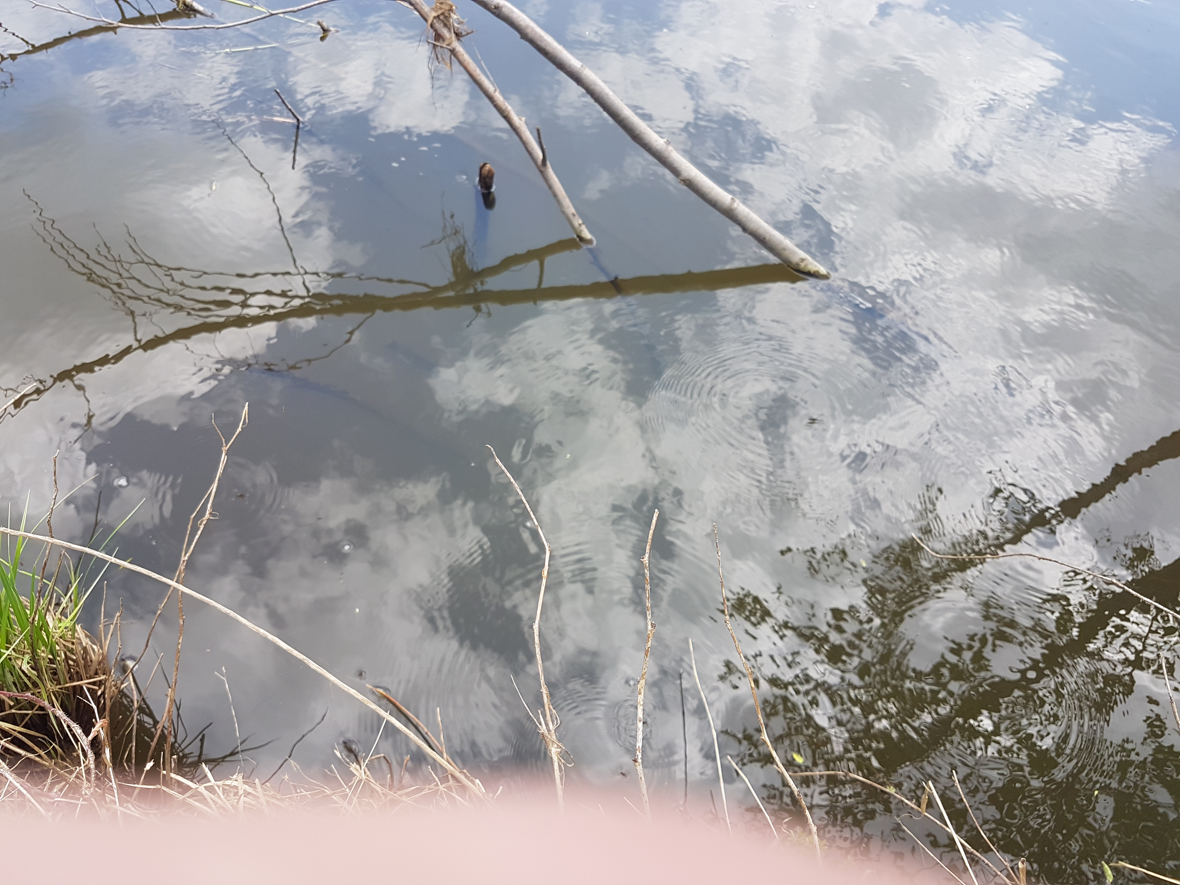 0_54d2fc_6e37d482_orig