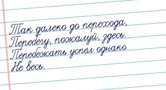 4961061.jpg