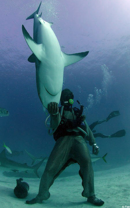 sharkman.jpg