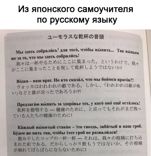 16458726.jpg