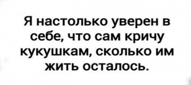 16253141.jpg
