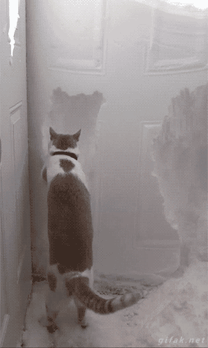 tumblr_njaevfTj6k1s2yegdo1_400.gif