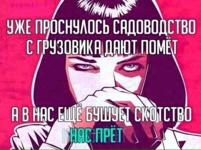 12898846.jpg