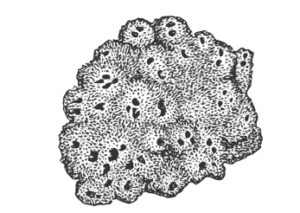 1360602021_1585595724.gif