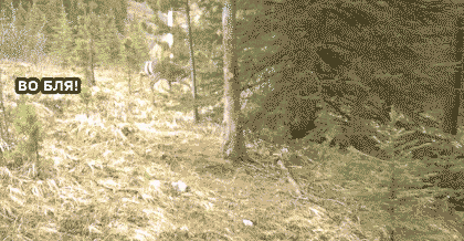 1374845979_1759424497.gif