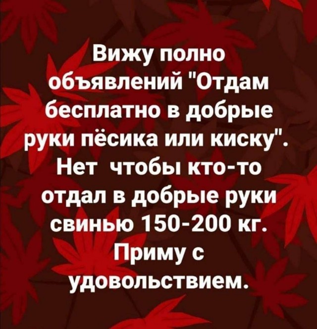 16074738.jpg