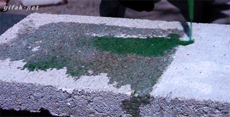 tumblr_nku132HVXl1s2yegdo1_500.gif