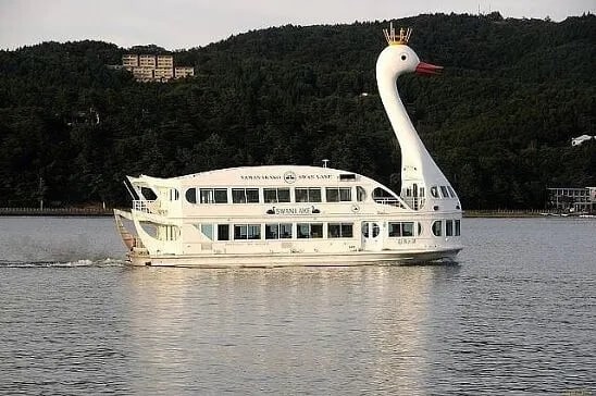 16251553.jpg