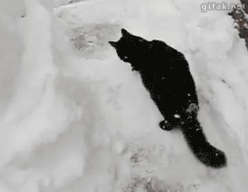 tumblr_nizw5hy8HM1s2yegdo1_r1_400.gif
