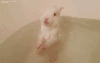 tumblr_nd1965UmSx1s2yegdo1_400.gif