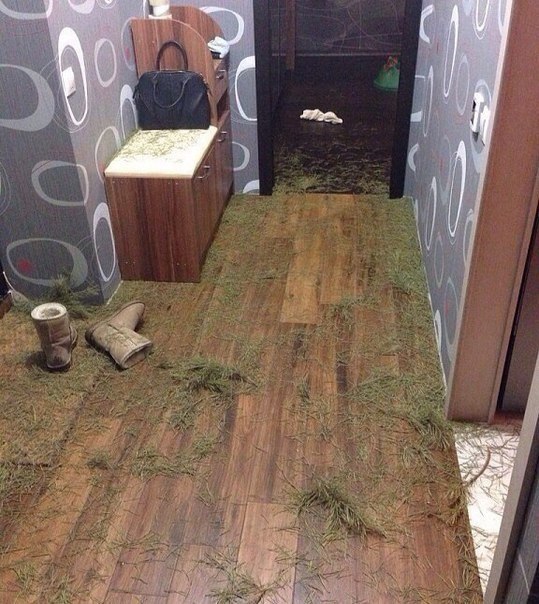 zsQQ5o5xbXs.jpg