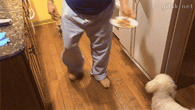 tumblr_nmzq2wVMdM1s2yegdo1_400.gif