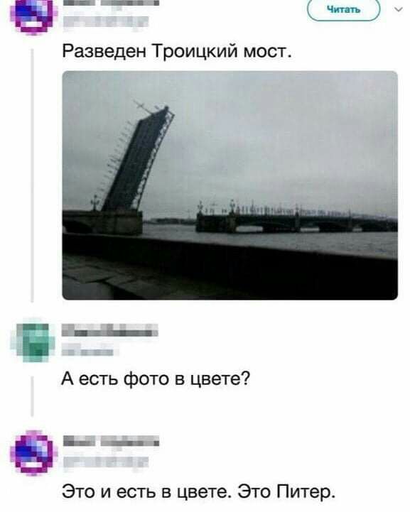 14222870.jpg