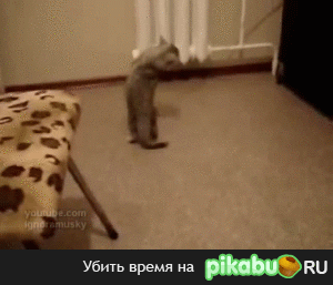 0ej.gif